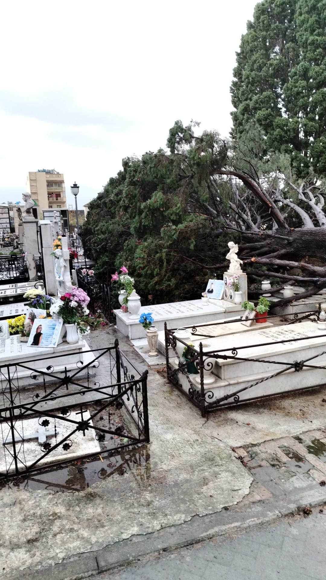 Prorogata la chiusura delle ville comunali e cimiteri a partire dalle ore 12 e sino alla mezzanotte, di oggi 24 dicembre 