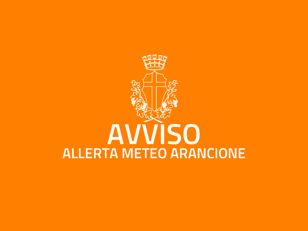 Allerta arancione dalle 00:00 alle 24:00 del 2/2/2025 - Rischio meteo idrogeologico e idraulico - Rovesci o temporali