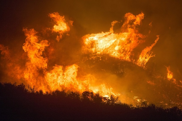 Rischio incendi: ordinanza del sindaco Basile per incendi boschivi