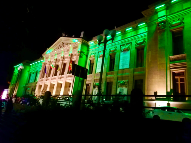 Accendere una luce sulla malattia: Palazzo Zanca in verde