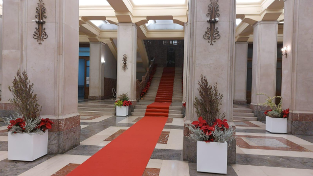 Domani con l’accensione dell’Albero nell’atrio di Palazzo Zanca l’avvio delle iniziative del Natale 2022